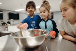Primaire & secondaire sainte anne dorval